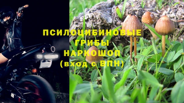 герыч Фурманов