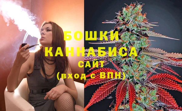 СК Усмань