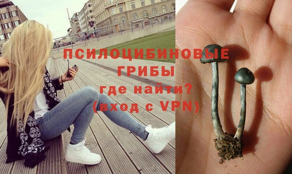 герыч Фурманов