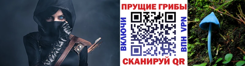 МЕГА   Приволжский  Галлюциногенные грибы Cubensis  где можно купить  